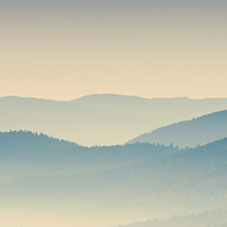 商业流程再造的在线电话轰炸机