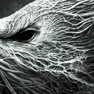 云呼电话测压网页版