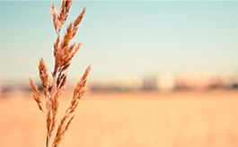 在线手机号压力测试